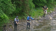 PIC_6941 (1)